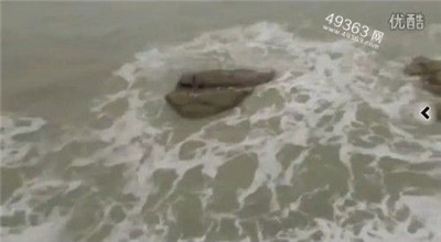 北冰洋美人鱼照片曝光 揭秘那些来历不明的神秘生物262 / 作者:UFO爱好者 / 帖子ID:88215