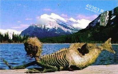 北冰洋美人鱼照片曝光 揭秘那些来历不明的神秘生物704 / 作者:UFO爱好者 / 帖子ID:88215