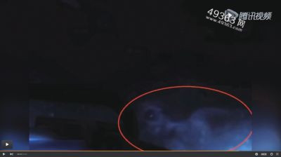 北冰洋美人鱼照片曝光 揭秘那些来历不明的神秘生物935 / 作者:UFO爱好者 / 帖子ID:88215