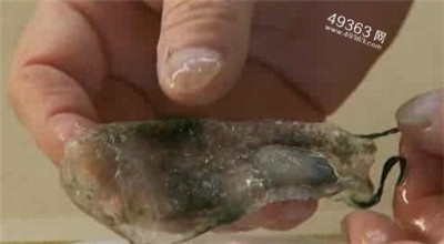 北冰洋美人鱼照片曝光 揭秘那些来历不明的神秘生物762 / 作者:UFO爱好者 / 帖子ID:88215
