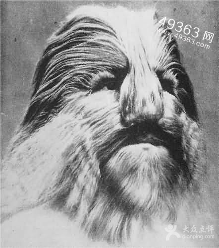 令人震撼的世界怪胎大盘点870 / 作者:UFO爱好者 / 帖子ID:88217