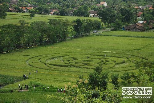 证据确凿:中国正遭受外星人秘密监视895 / 作者:UFO爱好者 / 帖子ID:73926 证据确凿:中国正遭受外星人秘密监视895 / 作者:UFO爱好者 / 帖子ID:73926
