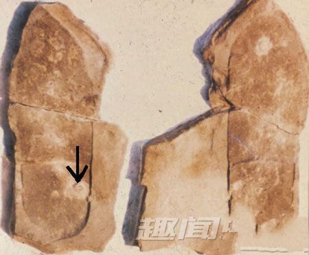 盘点世界十大至今未解的谜团313 / 作者:UFO爱好者 / 帖子ID:73944