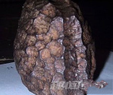 盘点世界十大至今未解的谜团836 / 作者:UFO爱好者 / 帖子ID:73944