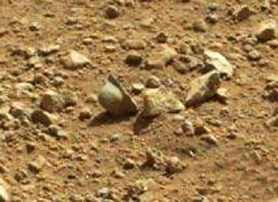 火星上令人震惊发现 地外文明真的存在149 / 作者:UFO爱好者 / 帖子ID:67542