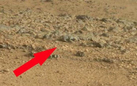 火星上令人震惊发现 地外文明真的存在320 / 作者:UFO爱好者 / 帖子ID:67542
