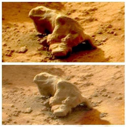 火星上令人震惊发现 地外文明真的存在763 / 作者:UFO爱好者 / 帖子ID:67542