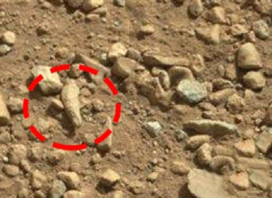 火星上令人震惊发现 地外文明真的存在848 / 作者:UFO爱好者 / 帖子ID:67542