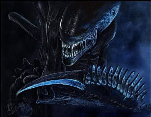 外星人不侵占地球的真相496 / 作者:UFO爱好者 / 帖子ID:82535