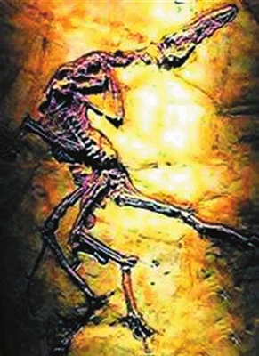 神秘未解之谜事件大盘点：诡异佛像之谜 阴兵借道193 / 作者:UFO爱好者 / 帖子ID:85111