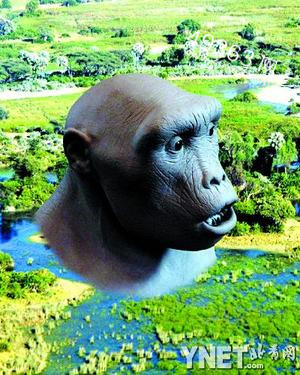 人类祖先之谜：5亿年前小“鳗鱼”：竟是人类已知最早祖先569 / 作者:UFO爱好者 / 帖子ID:88216