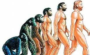 人类祖先之谜：5亿年前小“鳗鱼”：竟是人类已知最早祖先719 / 作者:UFO爱好者 / 帖子ID:88216