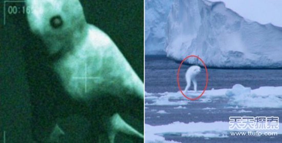 南极现神秘冰下巨洞 探测结果让人不安728 / 作者:UFO爱好者 / 帖子ID:86758