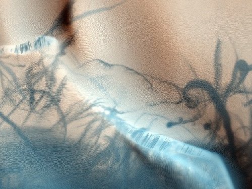 至今未解之谜:地球深处另类人种之谜245 / 作者:UFO爱好者 / 帖子ID:82068 至今未解之谜:地球深处另类人种之谜245 / 作者:UFO爱好者 / 帖子ID:82068