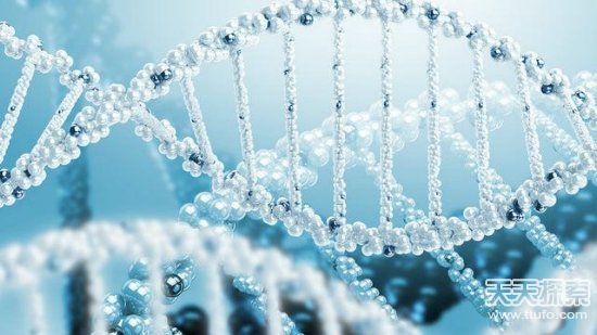 科学家竟然用昆虫的基因术改造人类大脑964 / 作者:UFO爱好者 / 帖子ID:86526