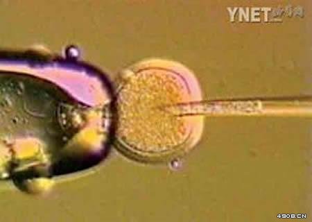 揭密：前苏联等国“人与动物”杂交实验965 / 作者:UFO爱好者 / 帖子ID:74895