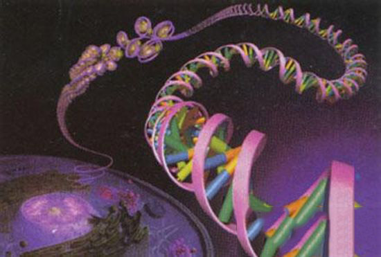 宇宙十大关键事件 DNA启动不屈不挠的复制过程：生命开始789 / 作者:UFO爱好者 / 帖子ID:86834