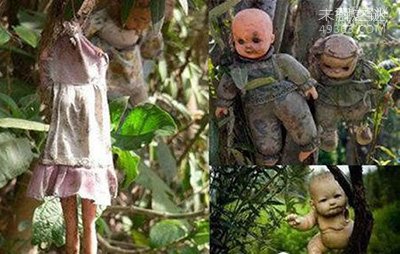 死神岛之谜：丧生者总计在5000人以上786 / 作者:UFO爱好者 / 帖子ID:74300