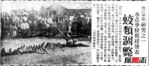 1934年辽宁营口坠龙事件是真的吗 无确切证据证明（假的）441 / 作者:UFO爱好者 / 帖子ID:99410