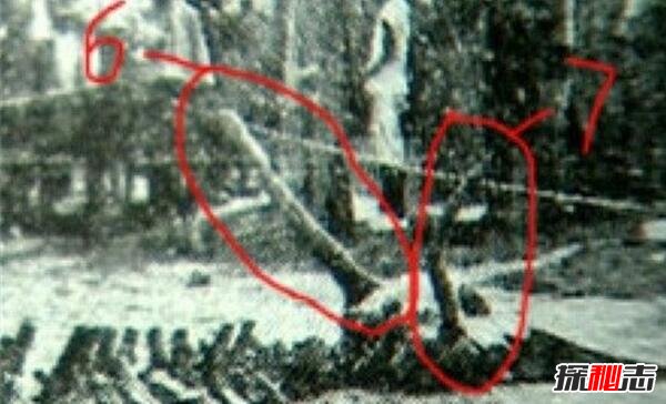 1934年辽宁营口坠龙事件是真的吗 无确切证据证明（假的）475 / 作者:UFO爱好者 / 帖子ID:99410