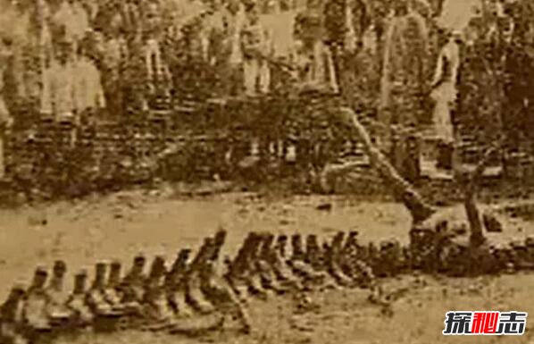 1934年辽宁营口坠龙事件是真的吗 无确切证据证明（假的）86 / 作者:UFO爱好者 / 帖子ID:99410