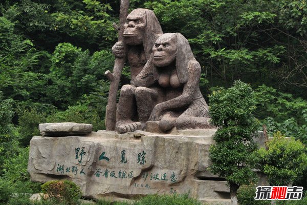 神农架野人之谜，传说中的野人很可能是棕熊197 / 作者:UFO爱好者 / 帖子ID:97962