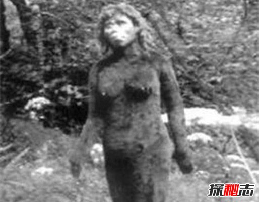 神农架野人之谜，传说中的野人很可能是棕熊651 / 作者:UFO爱好者 / 帖子ID:97962