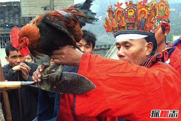 湘西定鸡术,揭秘湘西民间秘术未解之谜(视频解读)689 / 作者:UFO爱好者 / 帖子ID:99375 湘西定鸡术,揭秘湘西民间秘术未解之谜(视频解读)689 / 作者:UFO爱好者 / 帖子ID:99375