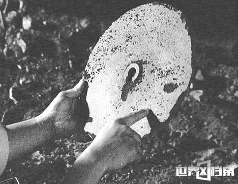 青海神秘的杜立巴石碟事件 揭外星人造访地球之谜685 / 作者:UFO爱好者 / 帖子ID:69731 青海神秘的杜立巴石碟事件 揭外星人造访地球之谜685 / 作者:UFO爱好者 / 帖子ID:69731