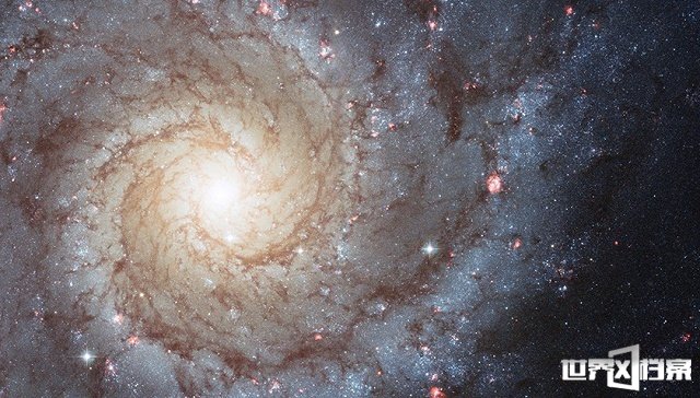地球生命始于宇宙尘埃携带的微生物?382 / 作者:UFO爱好者 / 帖子ID:70185 地球生命始于宇宙尘埃携带的微生物?382 / 作者:UFO爱好者 / 帖子ID:70185