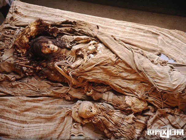 揭秘600年女尸产下活婴特灵娜背后真相584 / 作者:UFO爱好者 / 帖子ID:67478 揭秘600年女尸产下活婴特灵娜背后真相584 / 作者:UFO爱好者 / 帖子ID:67478