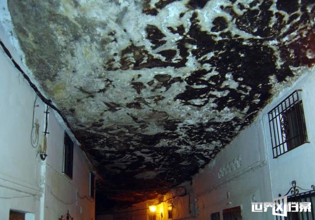一个被整个压在巨石下六百年的村庄802 / 作者:UFO爱好者 / 帖子ID:68580