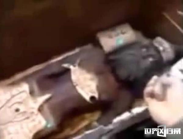 实拍1.2万年前的阿努纳奇人木乃伊 他们是外星人吗230 / 作者:UFO爱好者 / 帖子ID:67232 实拍1.2万年前的阿努纳奇人木乃伊 他们是外星人吗230 / 作者:UFO爱好者 / 帖子ID:67232