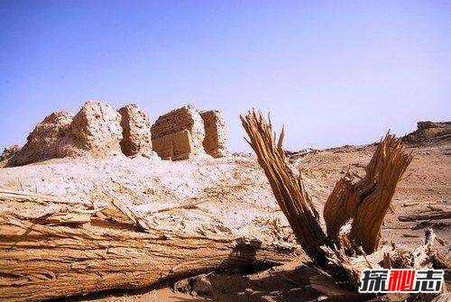 地球十大神秘禁区：第四个是动物坟墓,中国四地上榜45 / 作者:UFO爱好者 / 帖子ID:98496