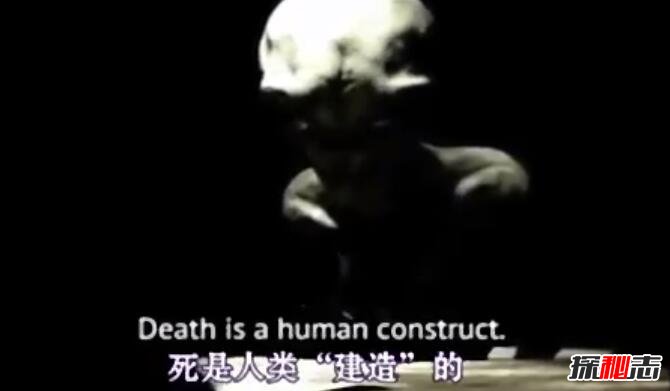 美国抓获未来人,自称来自平行世界的灰人(审问视频曝光)884 / 作者:UFO爱好者 / 帖子ID:98456