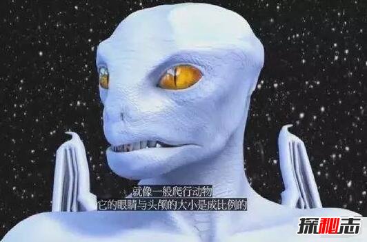 解密!阿尔法天龙星人：精通遗传,统治整个宇宙(外星皇室)406 / 作者:UFO爱好者 / 帖子ID:98451