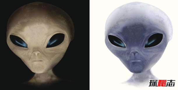 外星人控制着轮回？人类的肉体只是灵体的牢笼(谣言)551 / 作者:UFO爱好者 / 帖子ID:98432