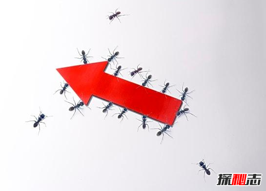 七维空间之谜,传闻上帝是7维空间的人?(无所不能)537 / 作者:UFO爱好者 / 帖子ID:97756