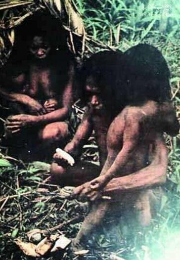 世界上人口最少的民族:塔萨代族(全球仅有24人)955 / 作者:UFO爱好者 / 帖子ID:75255