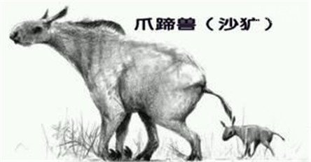 神农架的一种驴头狼身的怪物：不少人声称见过830 / 作者:UFO爱好者 / 帖子ID:74784