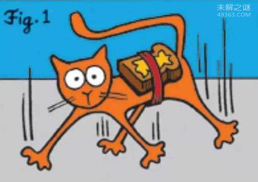 黄油猫悖论让反地心引力成立了,这实验好玩了？135 / 作者:UFO爱好者 / 帖子ID:70058
