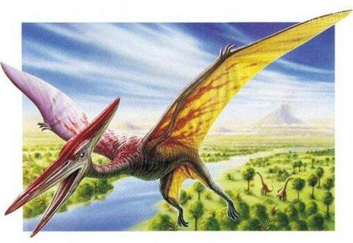 蓝鲸舌头重达3吨堪比成年大象的重量，天敌竟是人类252 / 作者:UFO爱好者 / 帖子ID:79851