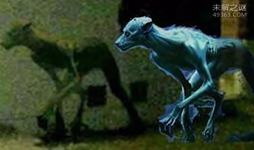 林中抛尸现场，凶手留下残忍证据受害者被白布包裹534 / 作者:UFO爱好者 / 帖子ID:74544