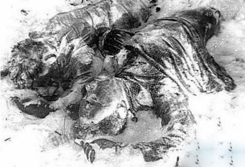 Dyatlov事件真相,离奇山难死亡事件揭秘?248 / 作者:UFO爱好者 / 帖子ID:74542