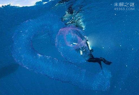 火体虫为什么可以不断变长?最长可以达到30米左右846 / 作者:UFO爱好者 / 帖子ID:79205
