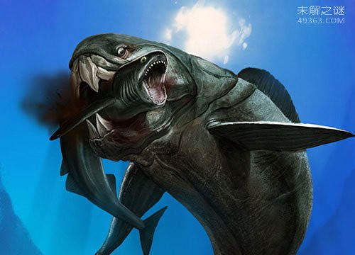 含肺鱼称霸海洋的巨无霸，能够一口吞下鲨鱼106 / 作者:UFO爱好者 / 帖子ID:79285