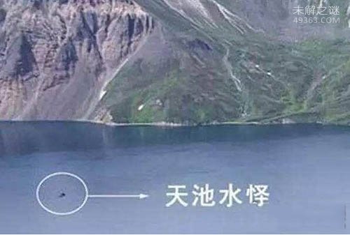 中国三大水怪之谜：青海湖水怪疑似蛇颈龙264 / 作者:UFO爱好者 / 帖子ID:73940