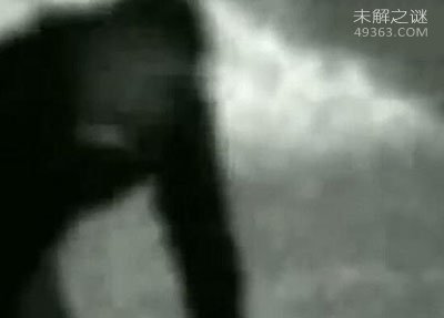 布雷路怪兽之谜,布雷路狼人真的存在吗？420 / 作者:UFO爱好者 / 帖子ID:73548