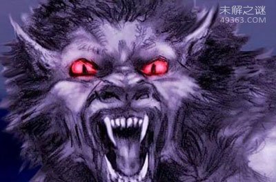 布雷路怪兽之谜,布雷路狼人真的存在吗？484 / 作者:UFO爱好者 / 帖子ID:73548