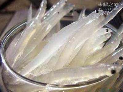 长江捞起一条全身透明的“银鱼”，银鱼怎么吃才是最好21 / 作者:UFO爱好者 / 帖子ID:76167